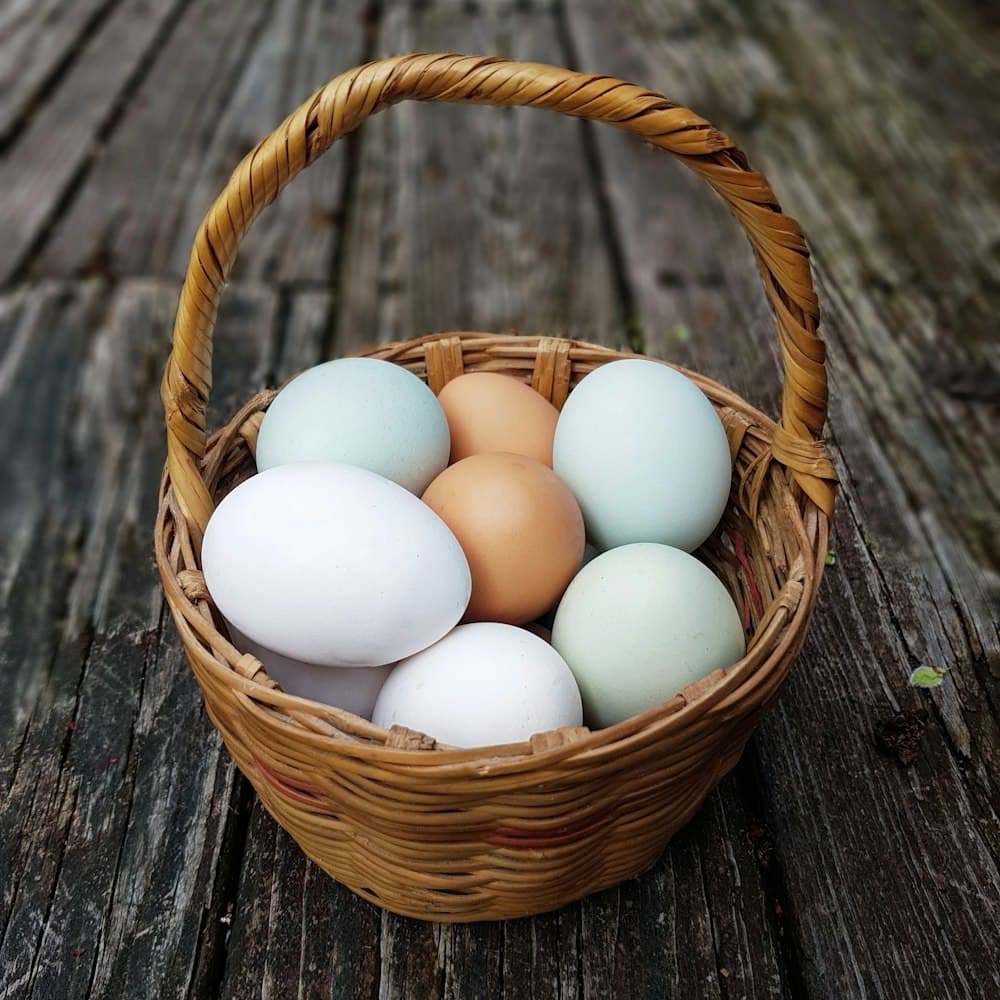 A basket of hatching eggs